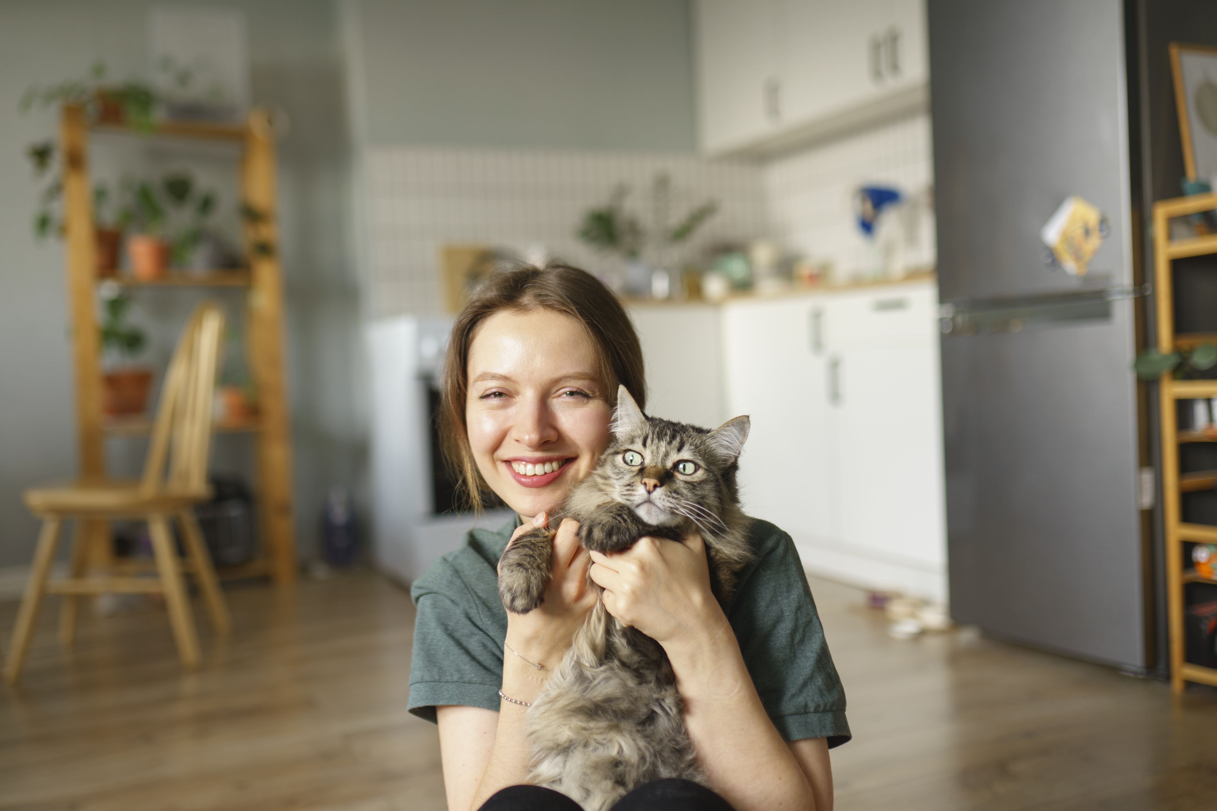 Heute.at - Deshalb beißen manche Katzen beim Streicheln zu