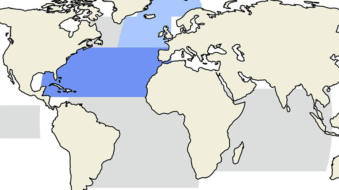 Beobachtungsdaten deuten auf eine Abschwächung der AMOC um etwa 50 % bis zum Ende dieses Jahrhunderts hin.