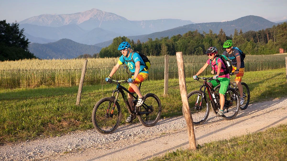 Heute.at - Die 10 schönsten Radrouten in Niederösterreich