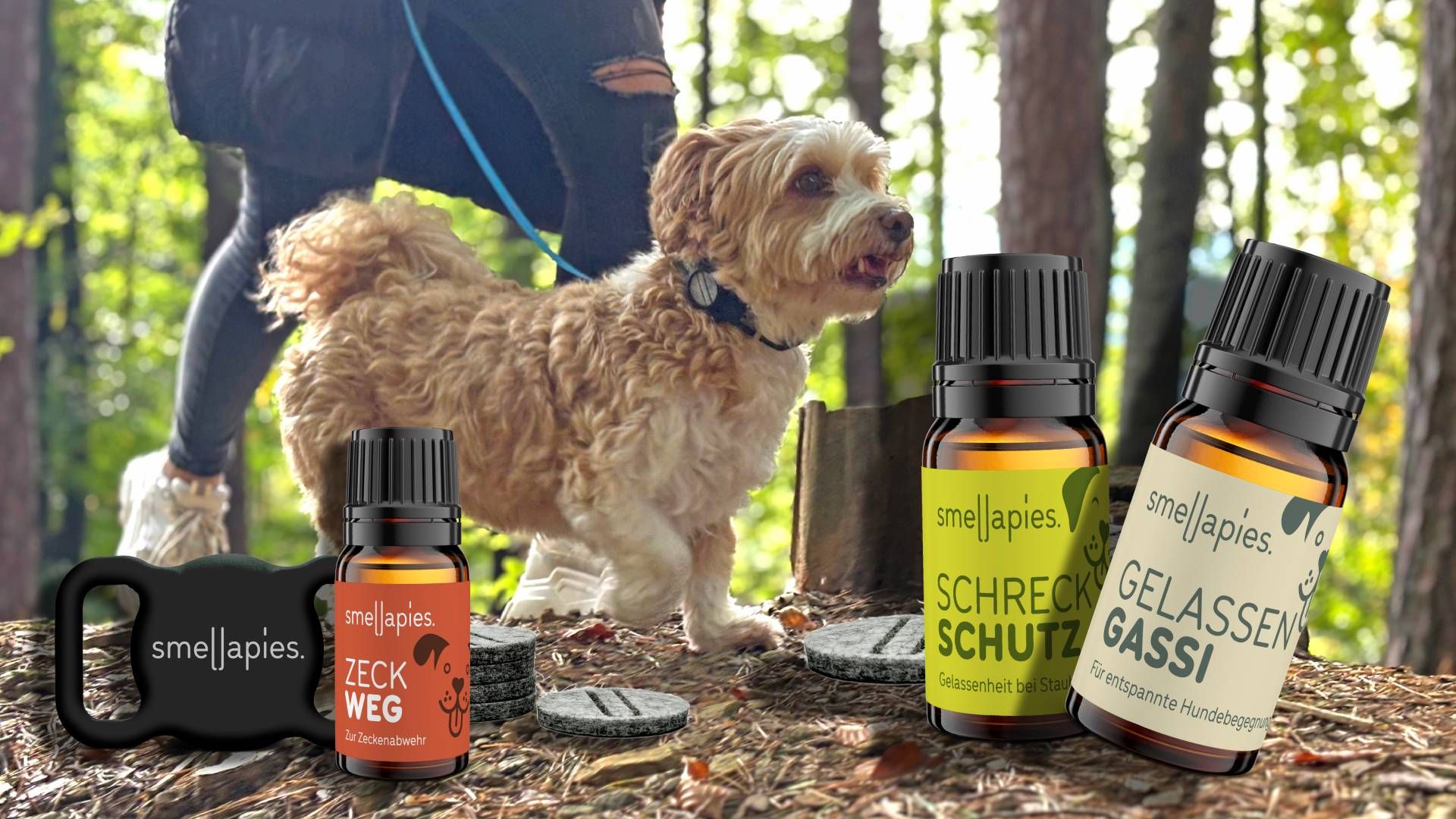 Heute.at - Angst? Stress? Zecke? Was Düfte wirklich alles können