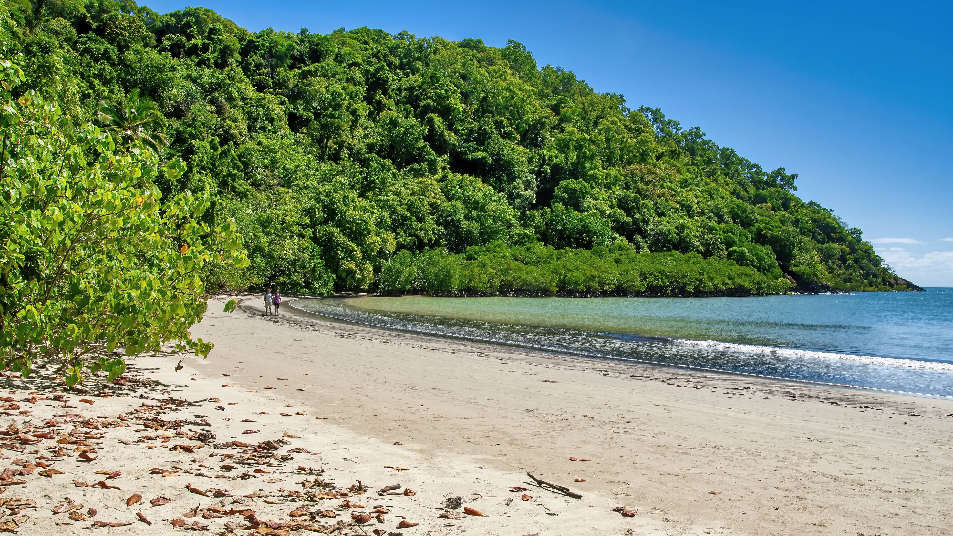 Der Strand am "Kap der Trübsal" beherbergt gefiederte Gefahren für Besucher.