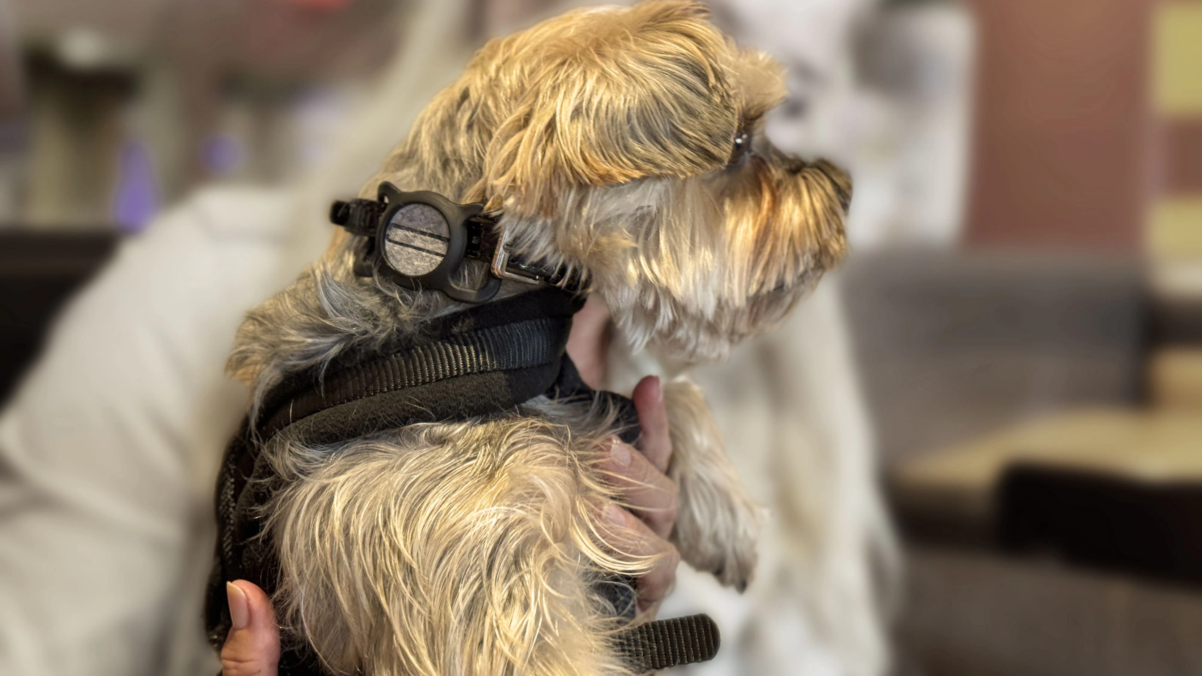 Hier sieht man das sogenannte "Smellie-Case" mit dem gedufteten Filz-Pad. 