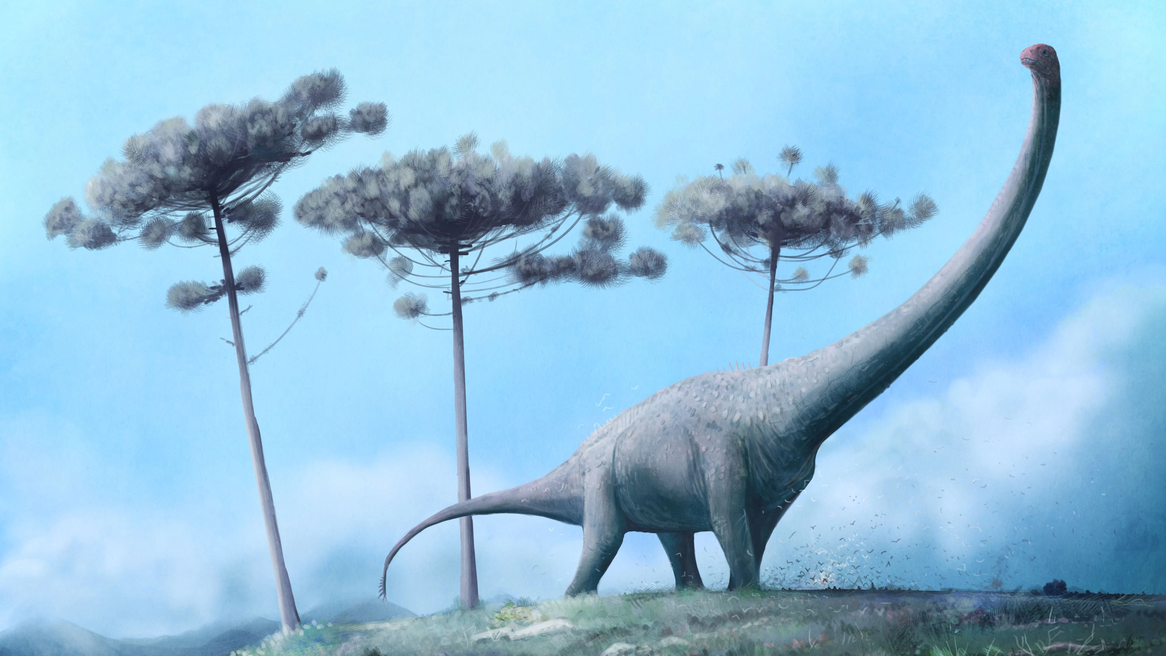 Heute.at - Schafhirte macht den riesigsten Fund auf seiner Farm