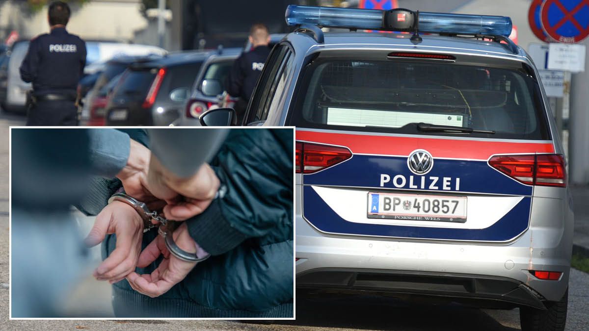 Mehrere Personen wurden durch die Polizei festgenommen (Symbolfoto).