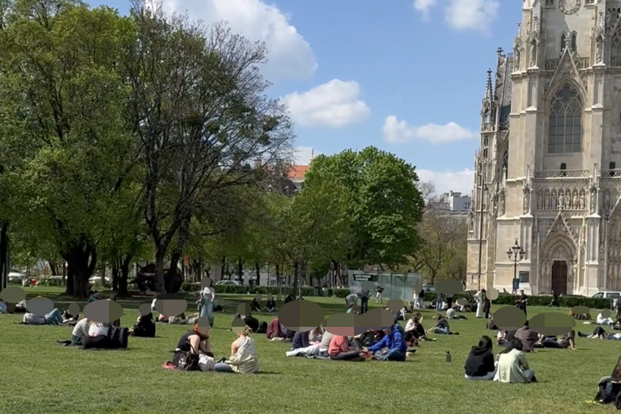 Am Freitag zog es die Wiener in den Votivpark.