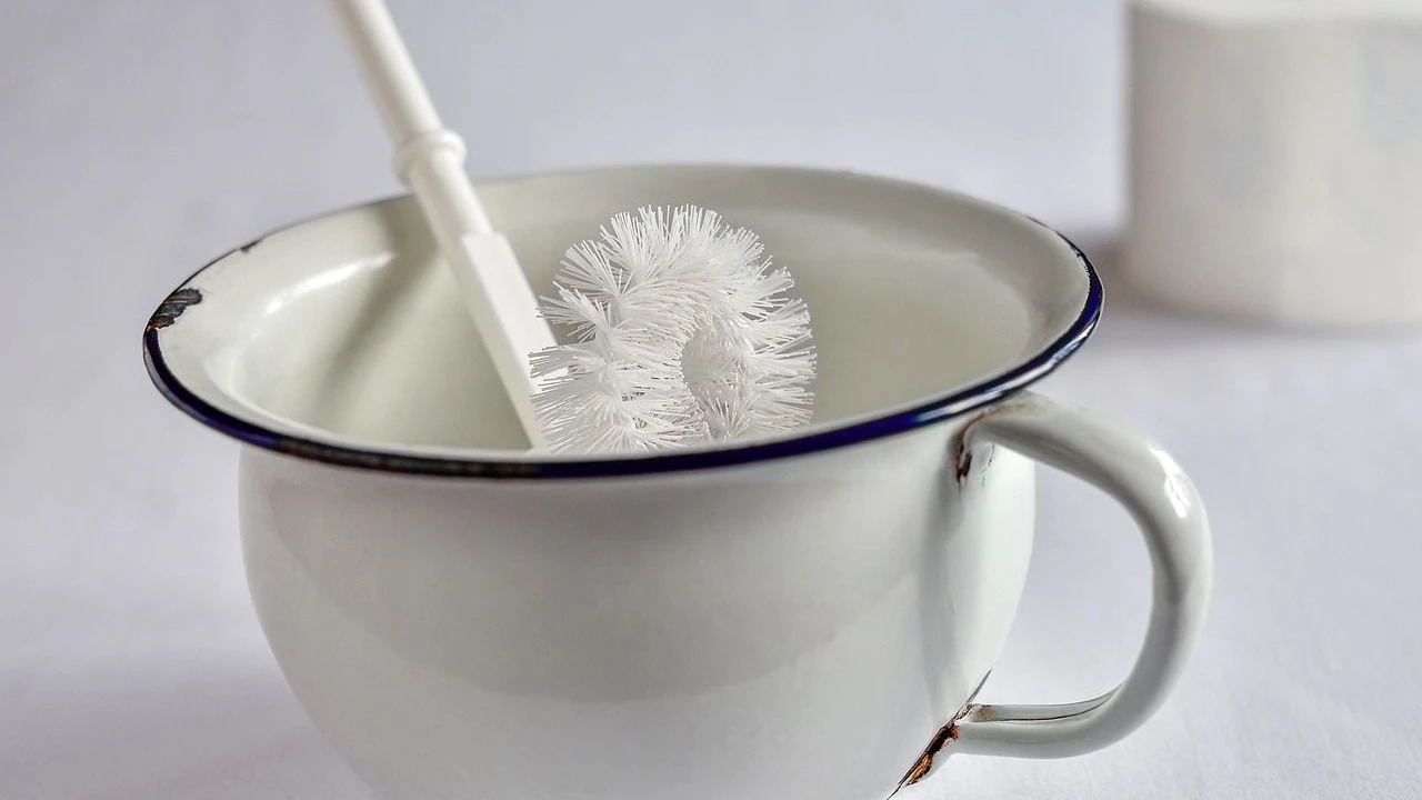 Heute.at - So wird deine Klobürste hygienisch sauber