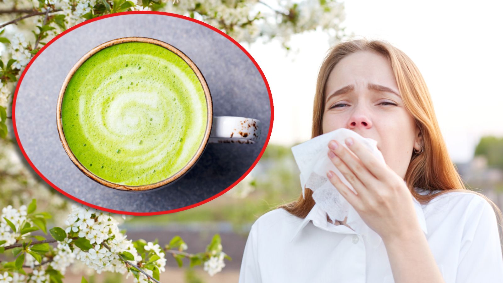 Frühling heißt Blüten – und für Allergiker vor allem Beschwerden.