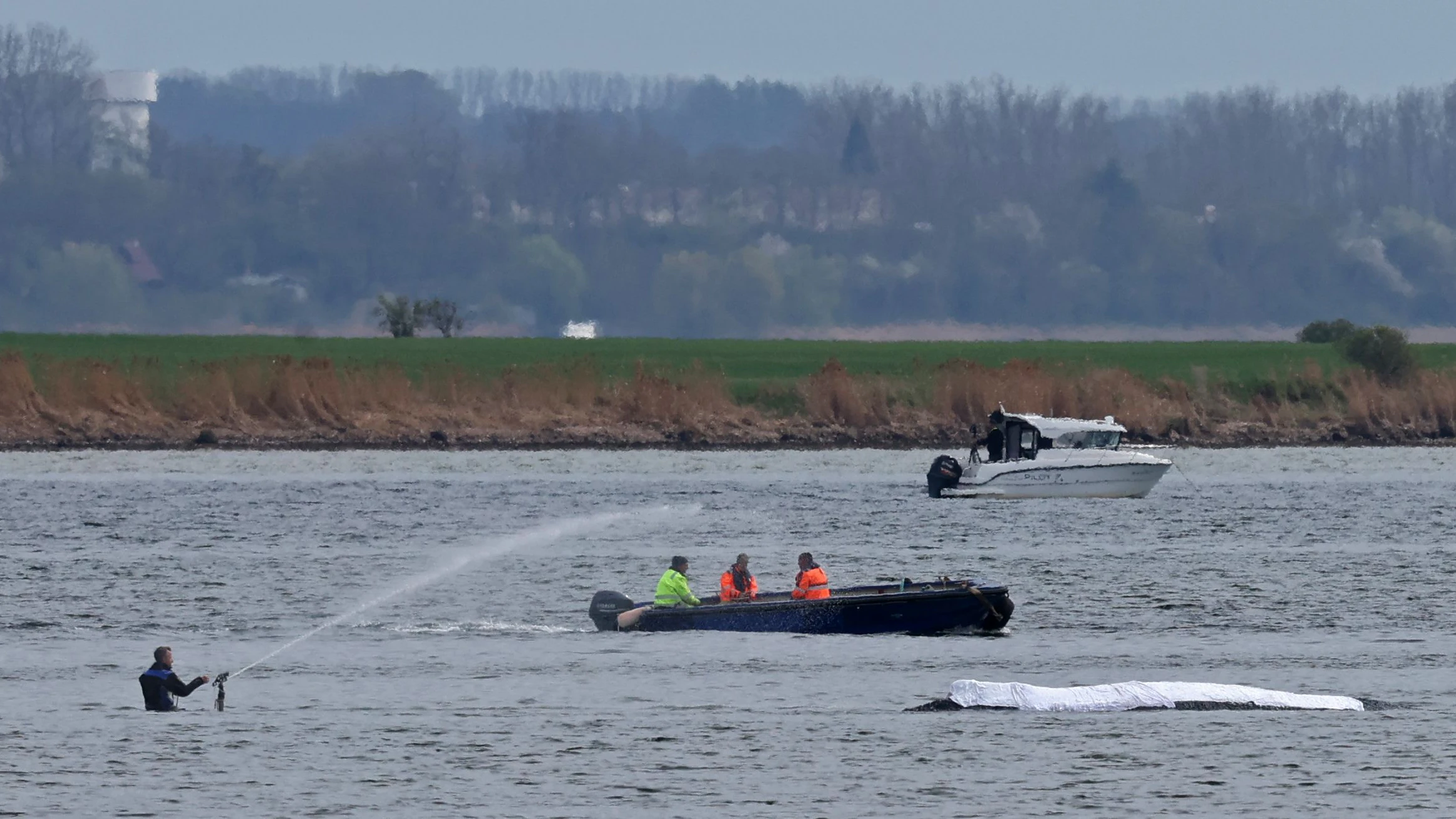 Der Buckelwal kann am Samstag noch nicht transportiert werden.