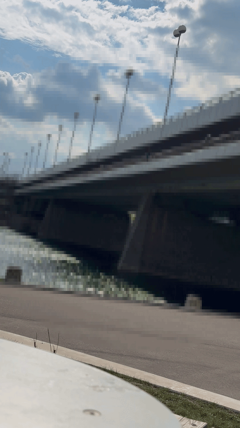 Gefährlich! Reichsbrücken-Sprung sorgt für Empörung.