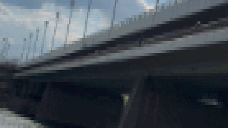 Gefährlich! Reichsbrücken-Sprung sorgt für Empörung