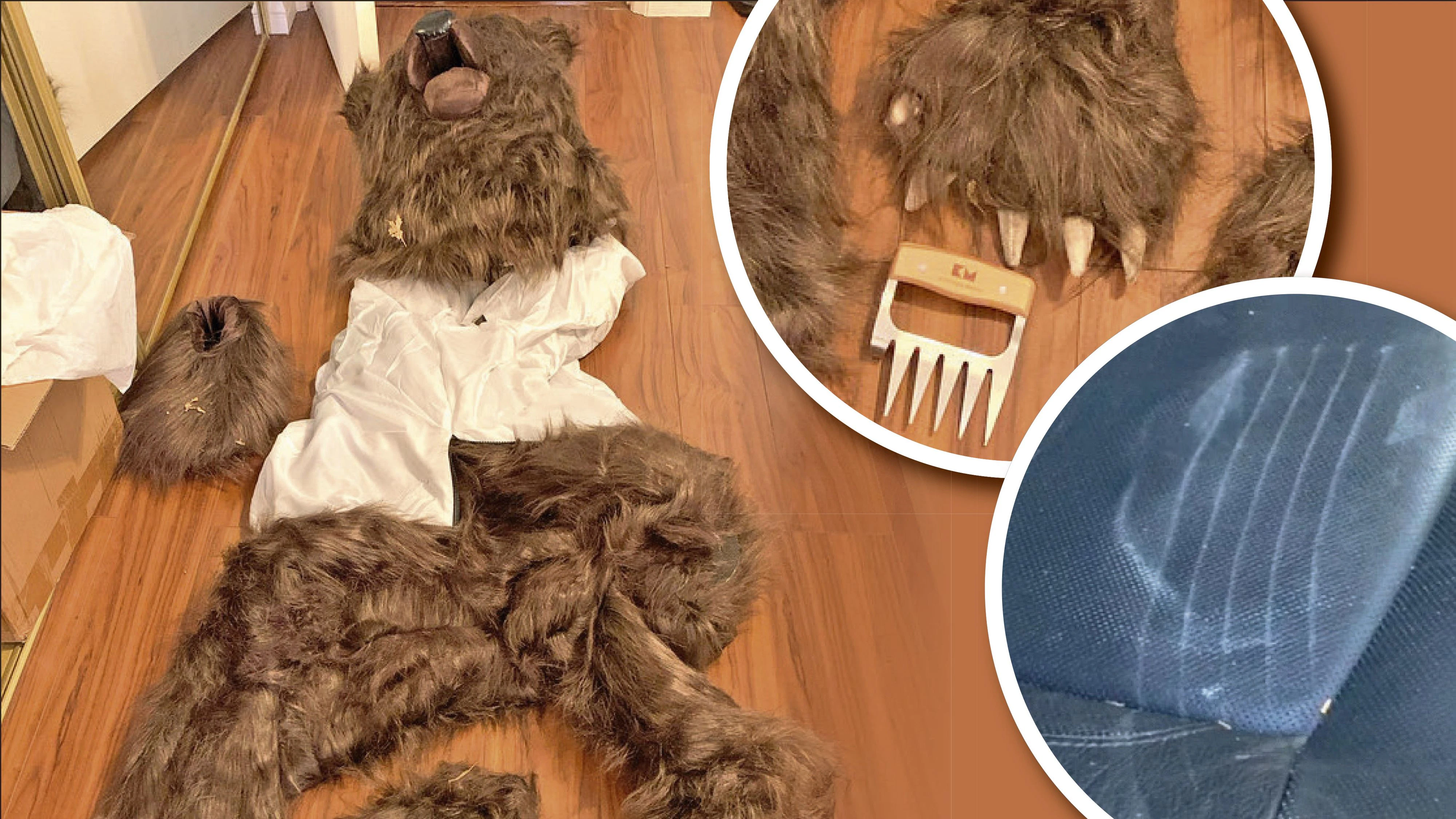 Die Versicherungsbehörde von Kalifornien veröffentlichte Fotos der beschädigten Fahrzeuge und des beschlagnahmten Bärenkostüms