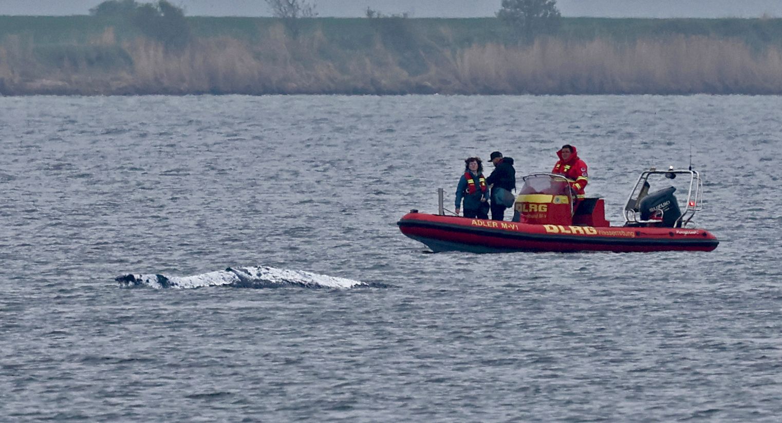Am Sonntag findet keine Rettung statt.