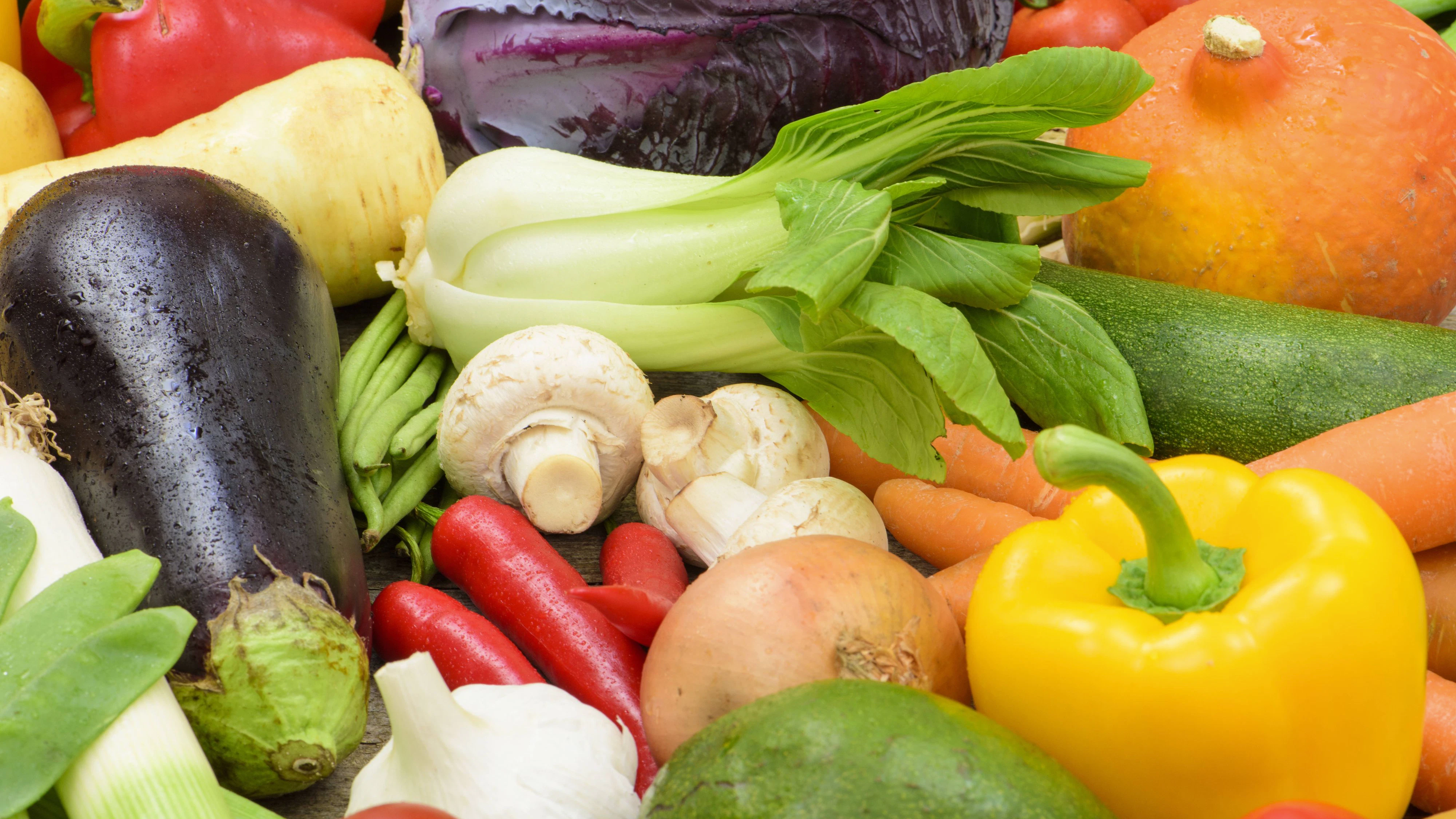 Das neue EU-Saatgutrecht bedroht Landwirtschaft und Saatgutvielfalt in Europa, warnt der Verein Arche Noah.