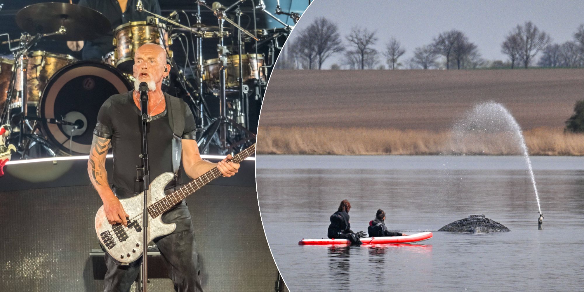 Santiano hinterfragen die Rettung von Timmy.