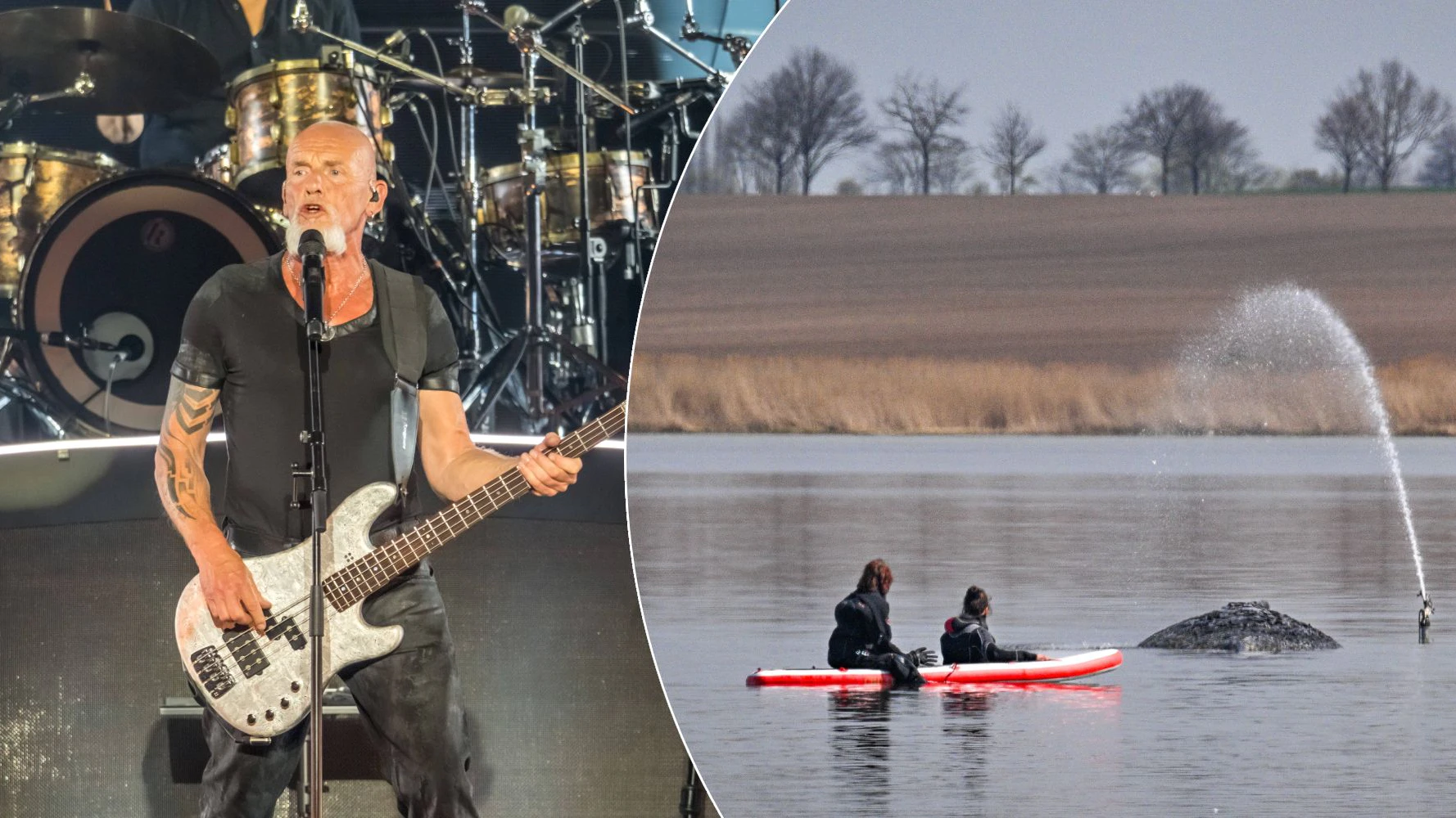 Santiano hinterfragen die Rettung von Timmy.