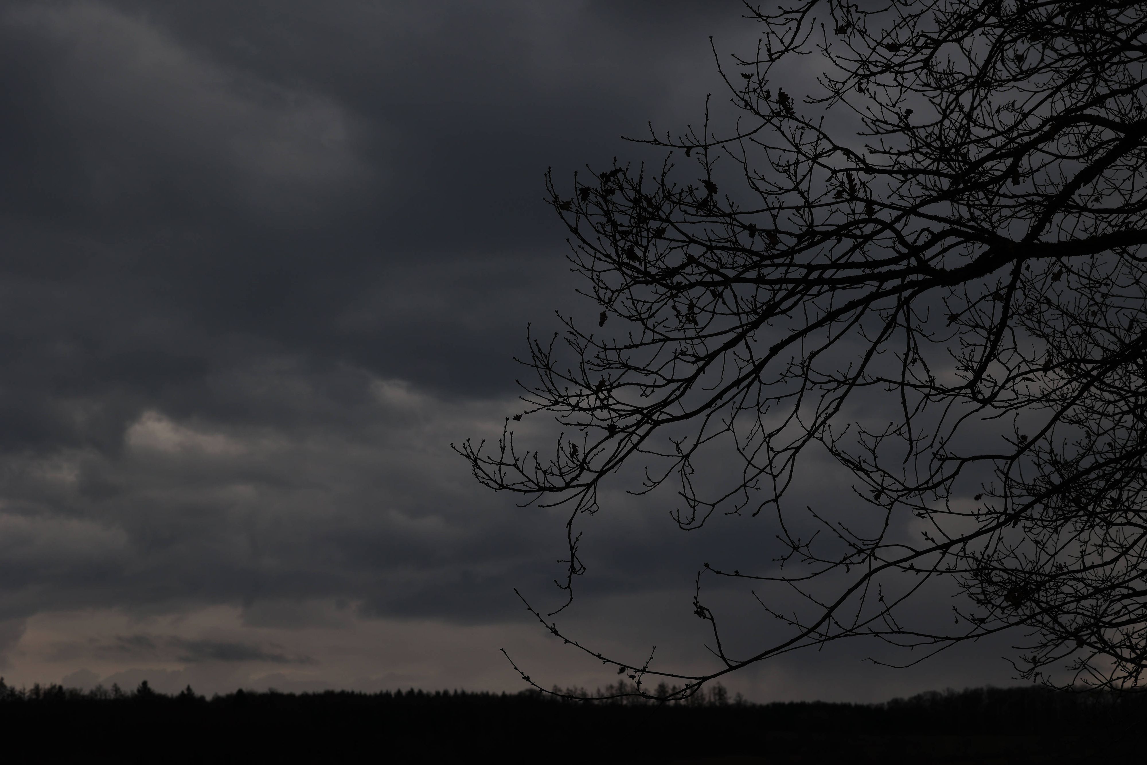 Heute.at - Kräftige Regenschauer steuern direkt auf Österreich zu