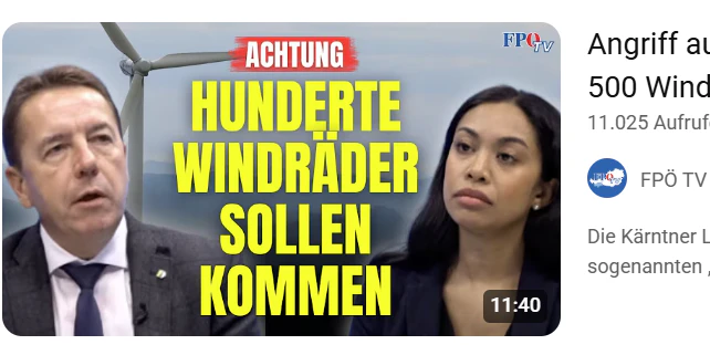 "Angriff auf unsere schöne Heimat": Die FPÖ schürte im Vorfeld der Volksbefragung die Angst vor 500 (!) Windrädern in Kärnten.