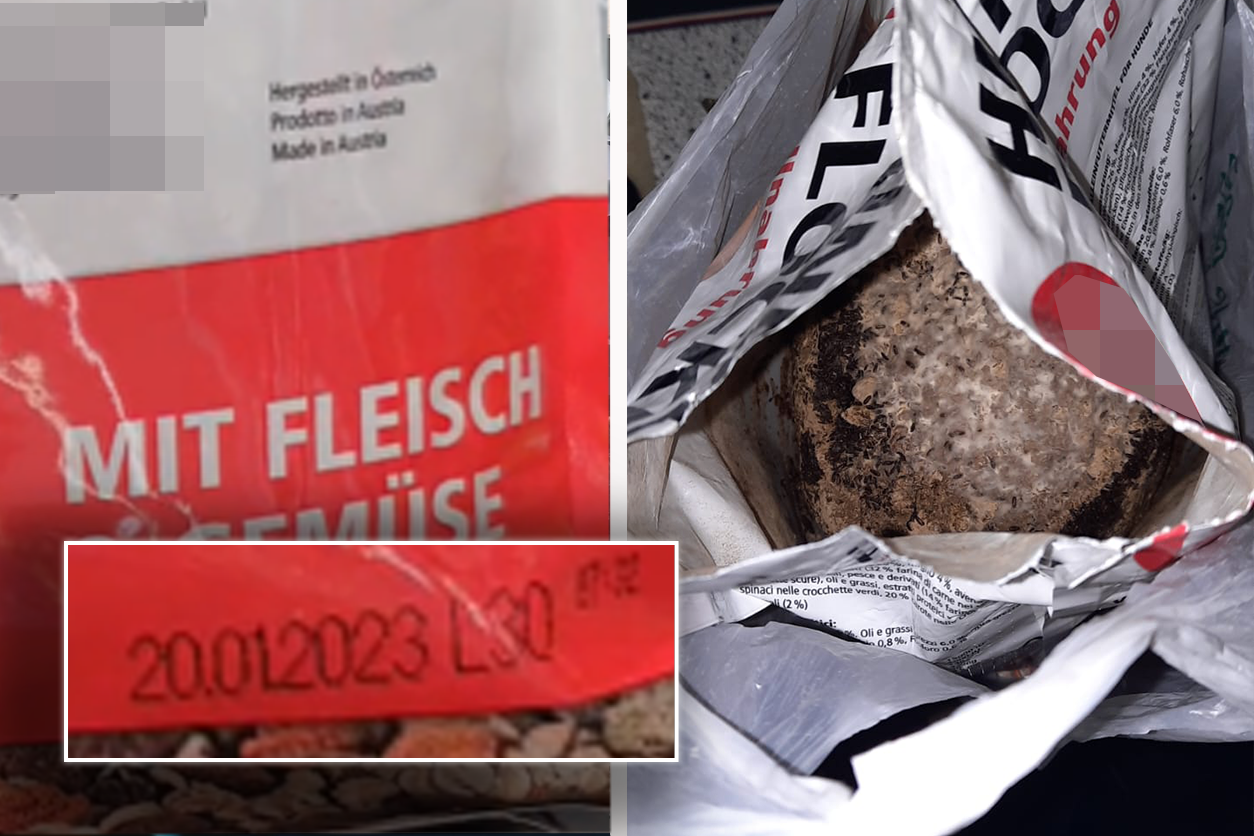 Am Wochenende sorgte abgelaufenes Hundefutter für Ärger.