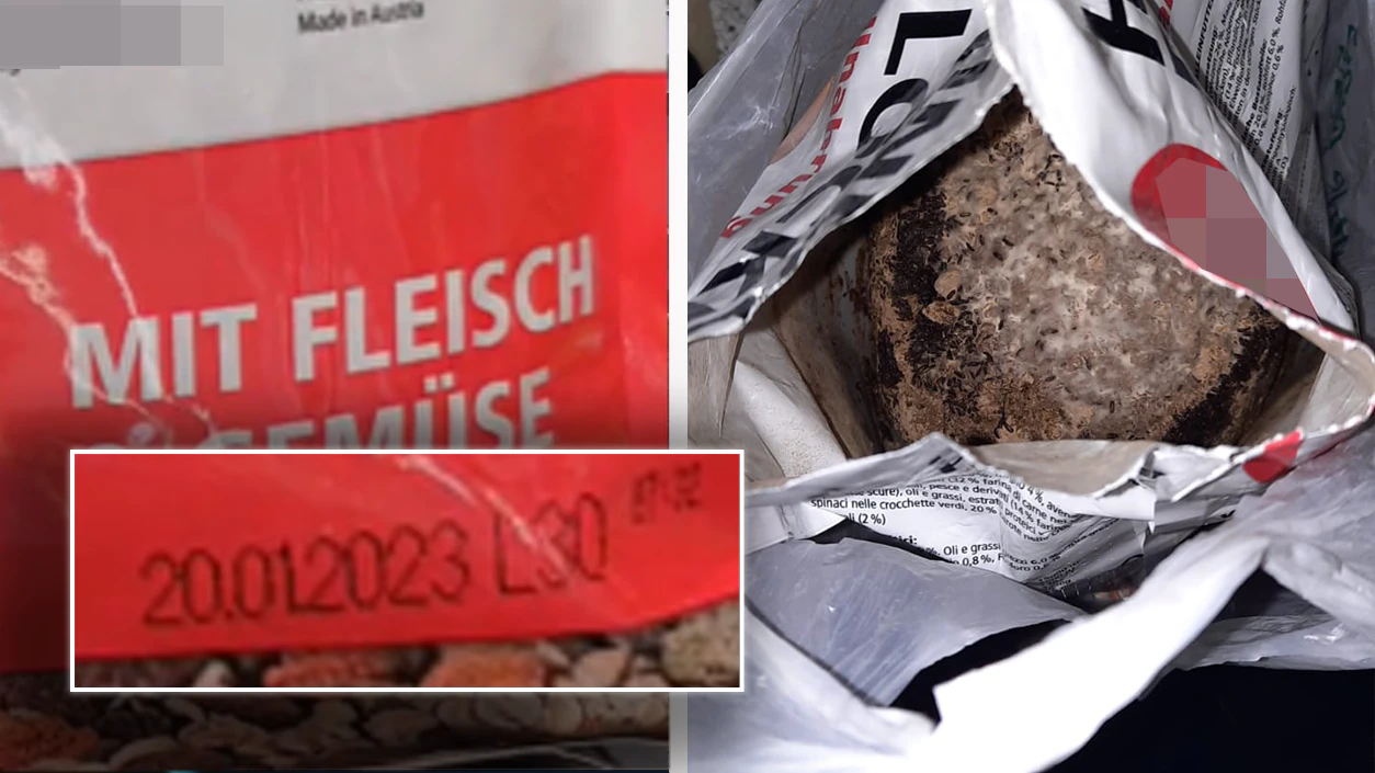 Am Wochenende sorgte abgelaufenes Hundefutter für Ärger.