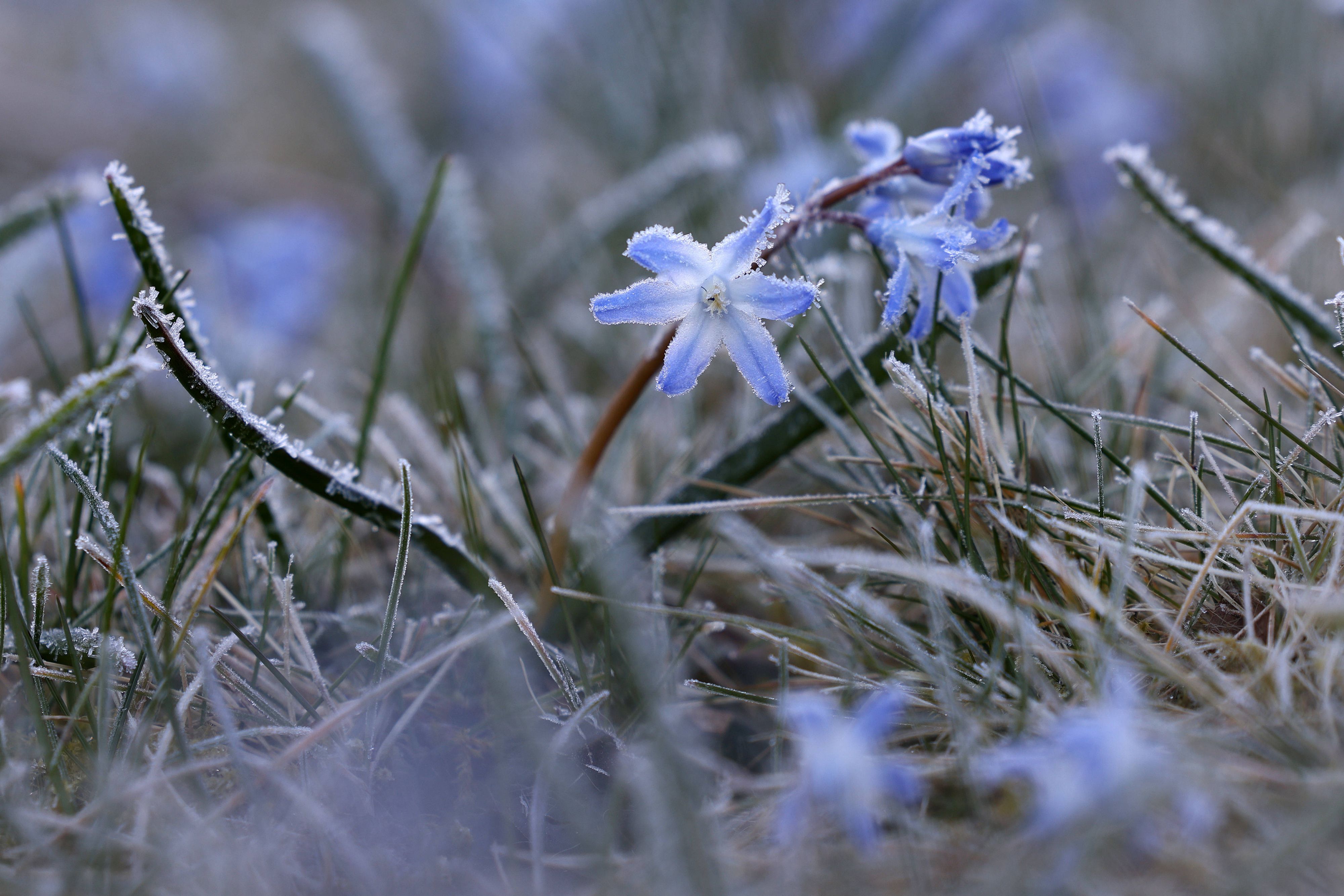 Heute.at - Gröbster Polar-Kelch ergießt sich nach Osteuropa