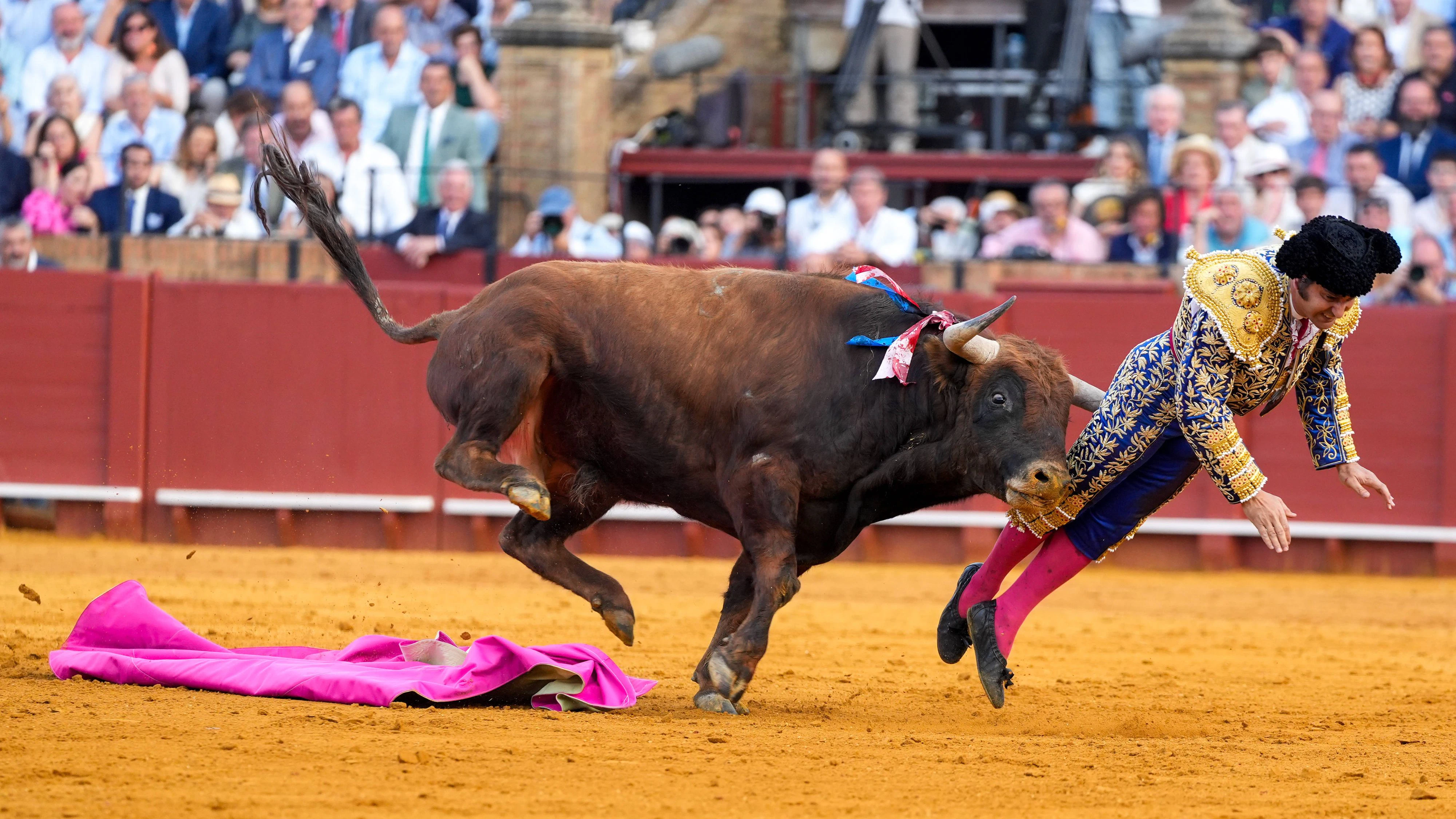 Heute.at - Po-Notoperation! Stier spießt berühmten Matador auf