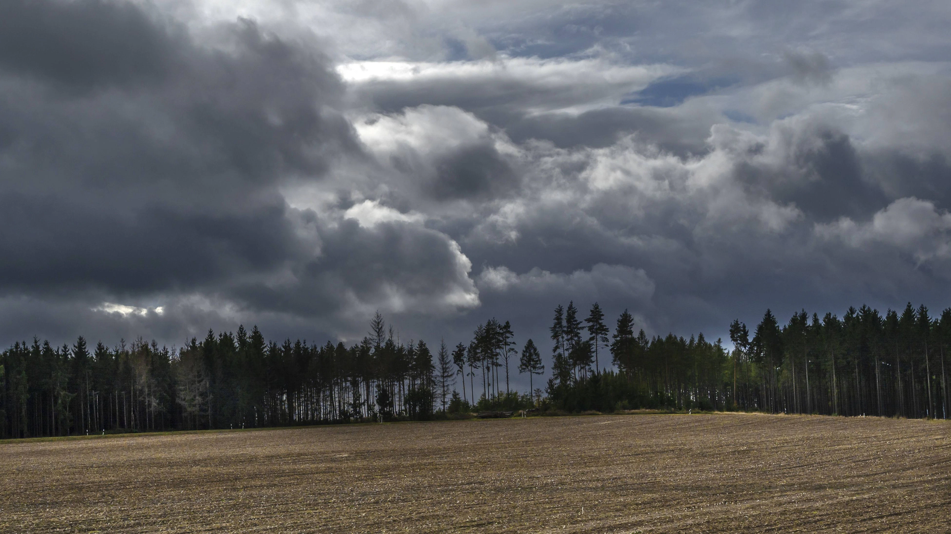 Kräftige Regenschauer ziehen jetzt nach Österreich.