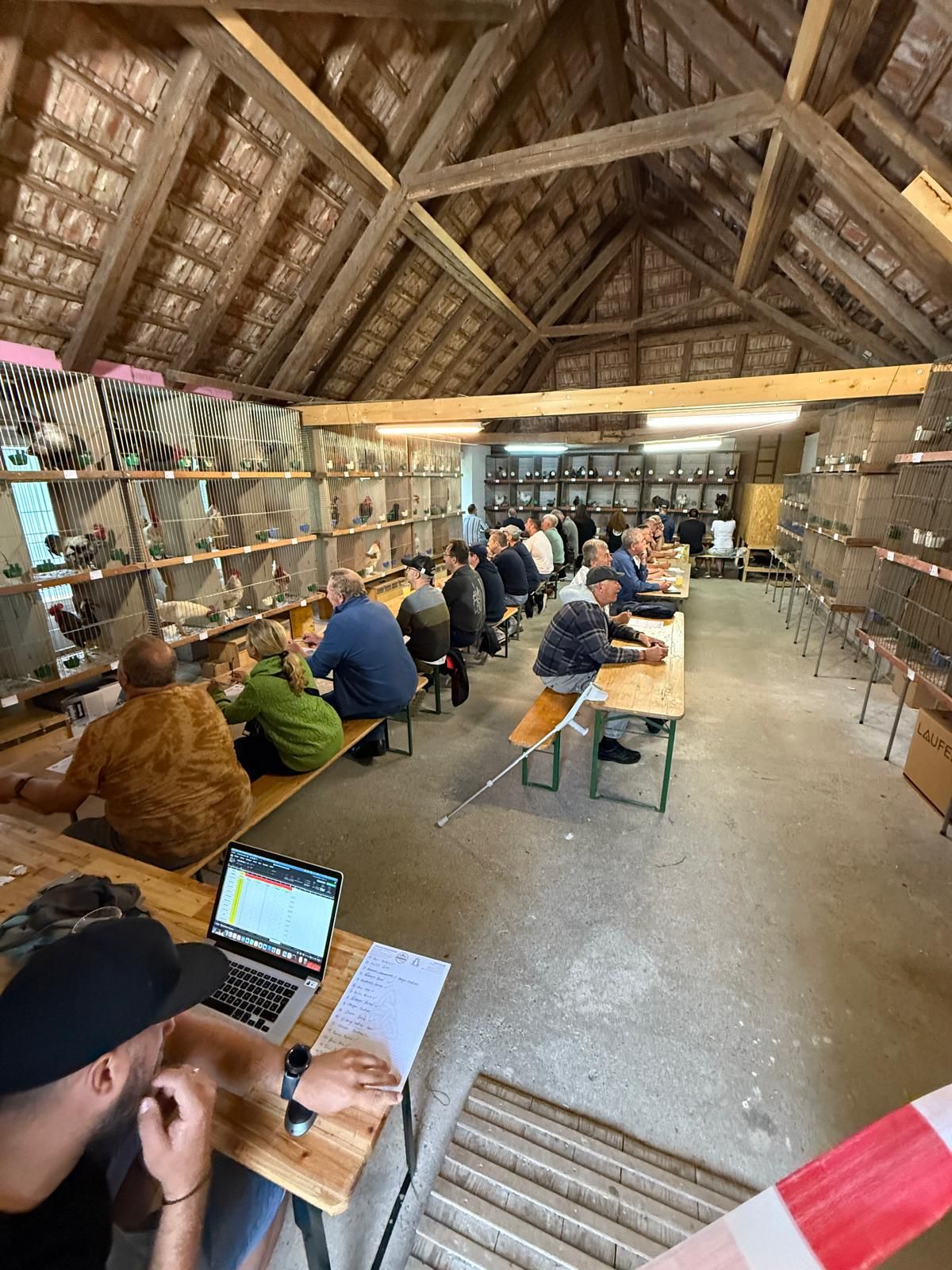 Heute.at - Skurriler Wettkampf: Wer kräht am häufigsten?