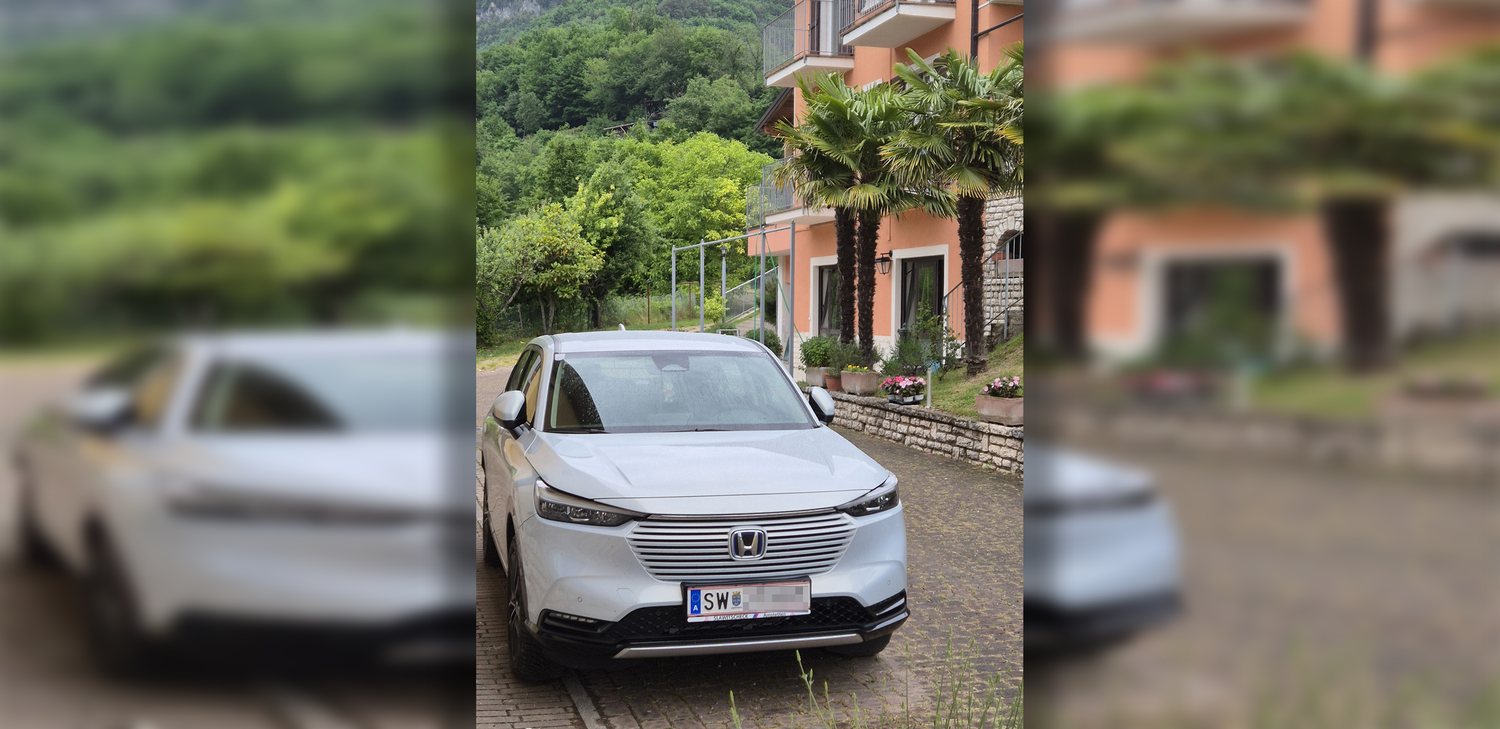 Ein Park-Malheur kommt den Besitzer teuer zu stehen.