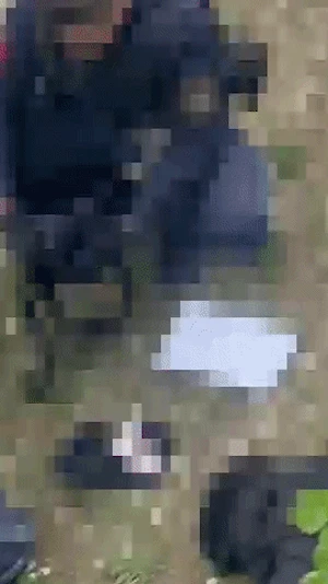 Jugendliche Randale Wien: Nach Einbruch und Belästigungen lieferten sich drei Teenager eine Verfolgungsjagd mit der Polizei in der Leopoldstadt.