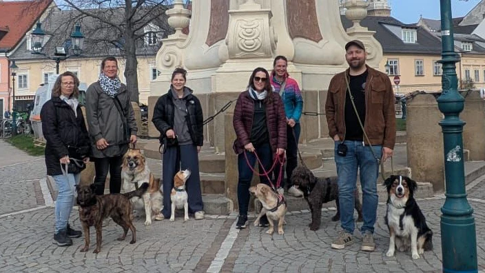 Die Quizwalks sind gut besucht.