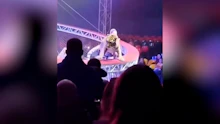 Schock im Zirkus: Tiger springt plötzlich ins Publikum