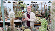 Wiens skurrilster Garten – Hier wächst 5.000€-Pflanze!