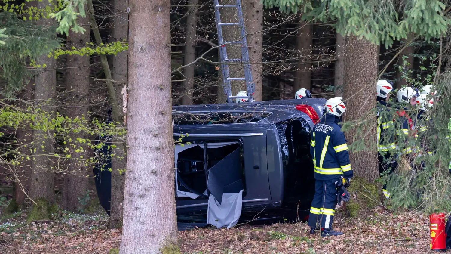 Heute.at - Autofahrer hat bei Crash in Wald keine Chance – tot