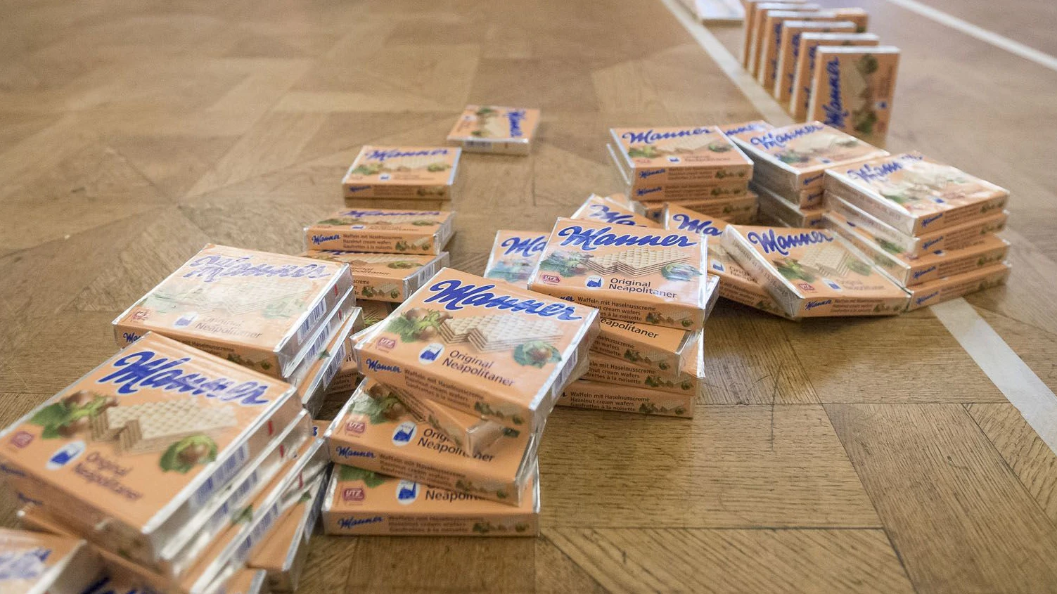 aufbauarbeiten zum mannerschnitten domino weltrekordversuch im festsaal des wiener rathauses, 20140717 foto: helmut graf/tageszeitung heute