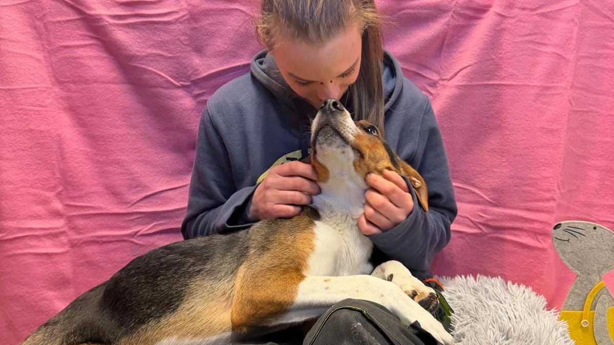 Ja, in der Pfotenhilfe wird natürlich täglich geschmust! 