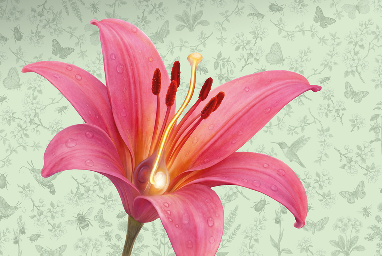 Heute.at - „Blümchensex“ – So läuft das Liebesleben der Pflanzen