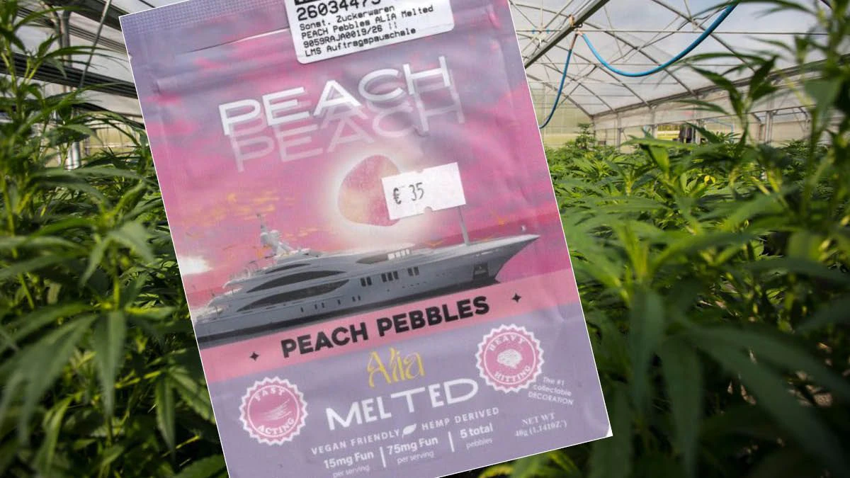 Alia Melted Peach Pebbles: so sieht das Produkt aus.