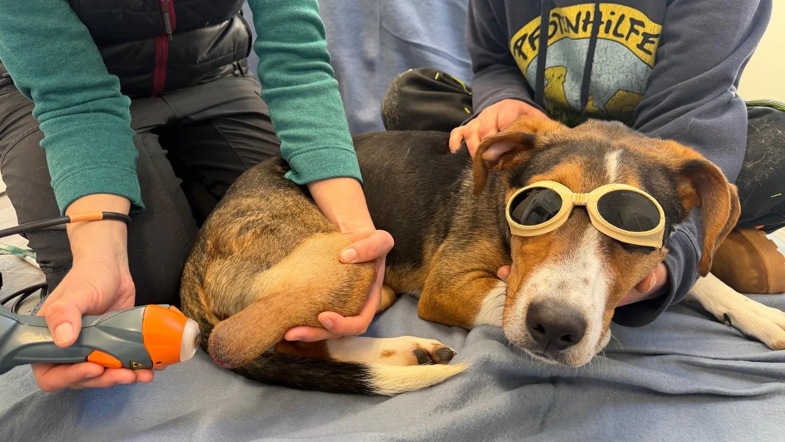 Laser und Physiotherapie gegen die Schmerzen.