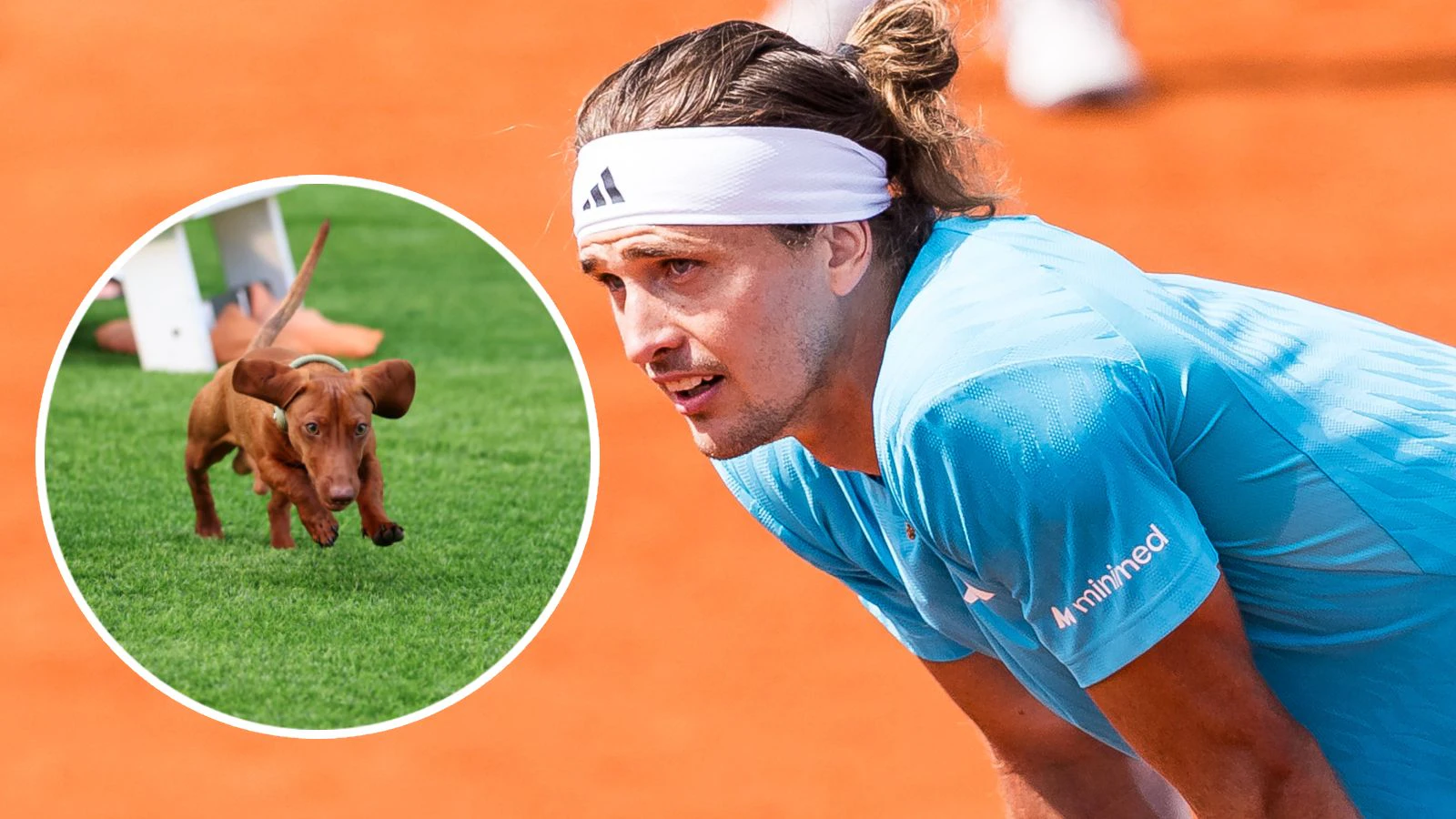Heute.at - Vor Masters – Zverev sorgt sich um seinen Hund