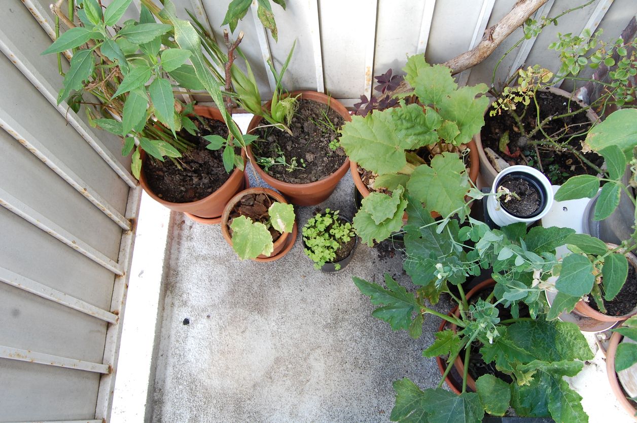 Eine neue Studie zeigt einen überraschenden Effekt von Regen.