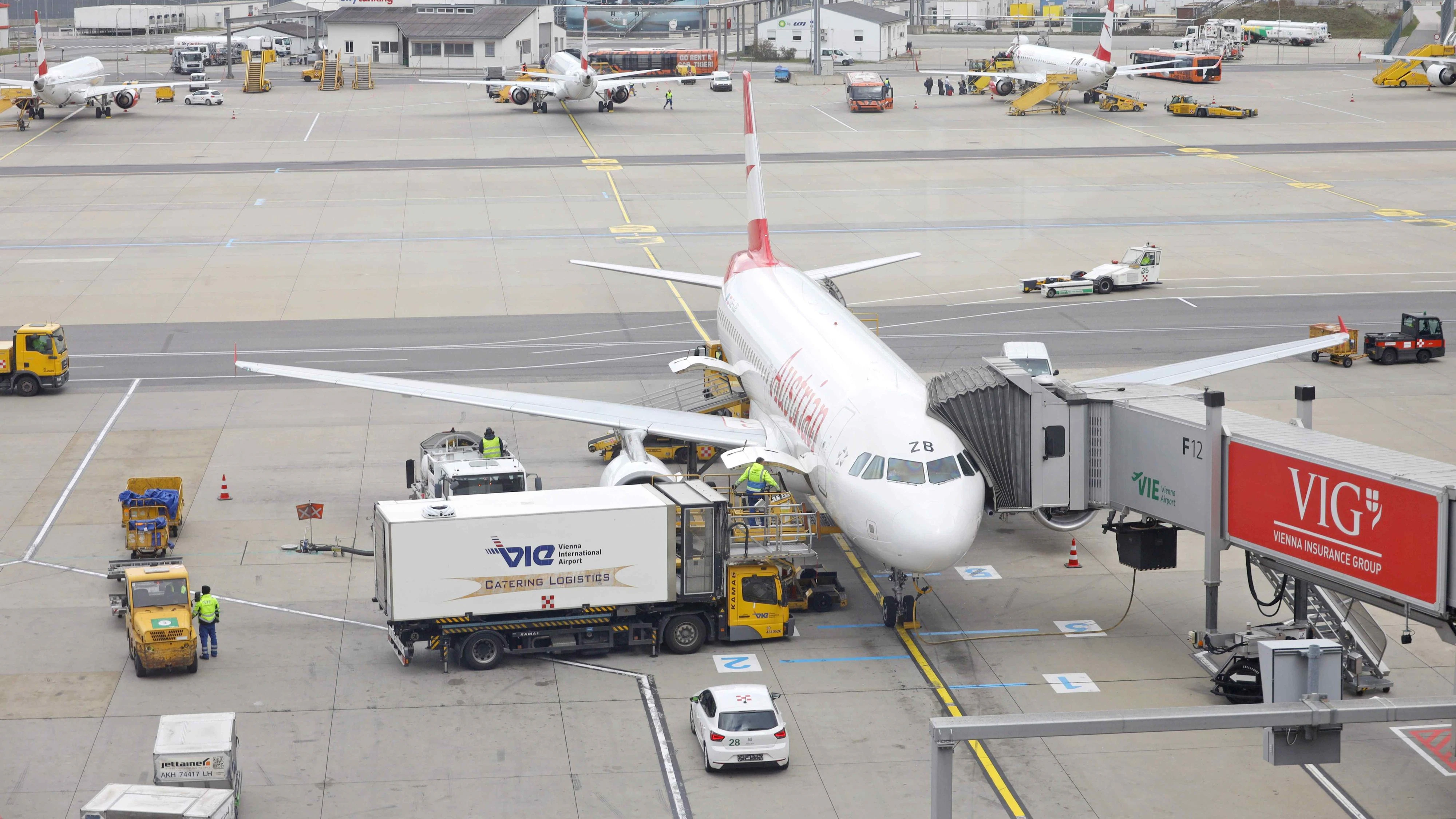 Heute.at - Abschiebe-Häftling randaliert im AUA-Flieger nach Wien