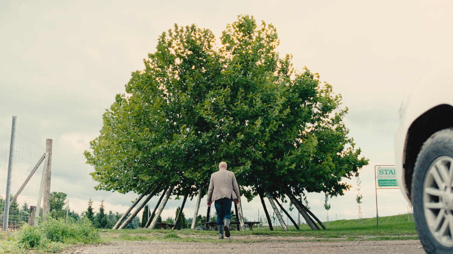 Anton Starkl ist überzeugt: "Der Baum ist auf Kooperation ausgelegt, nicht auf Konkurrenz."