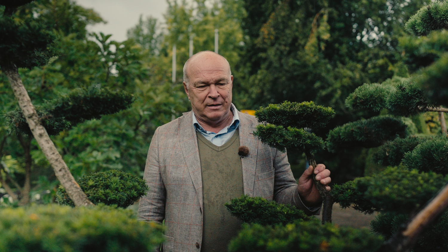 Heute.at - Anton Starkl pflanzt die Zukunft mitten auf die Straße