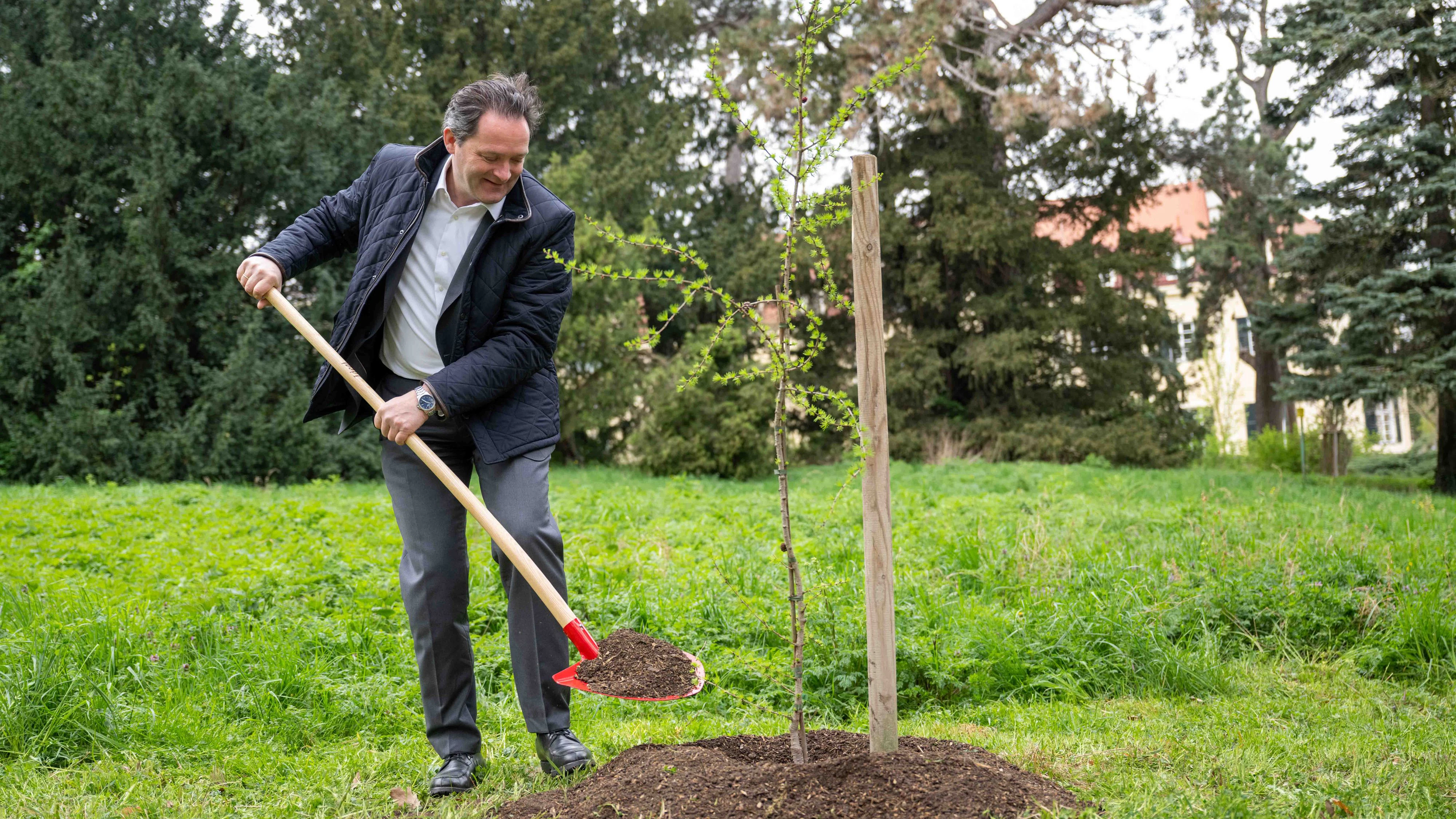 In Lackschuhen Lärchen eingraben, das kennt man aus dem eigenen Garten
