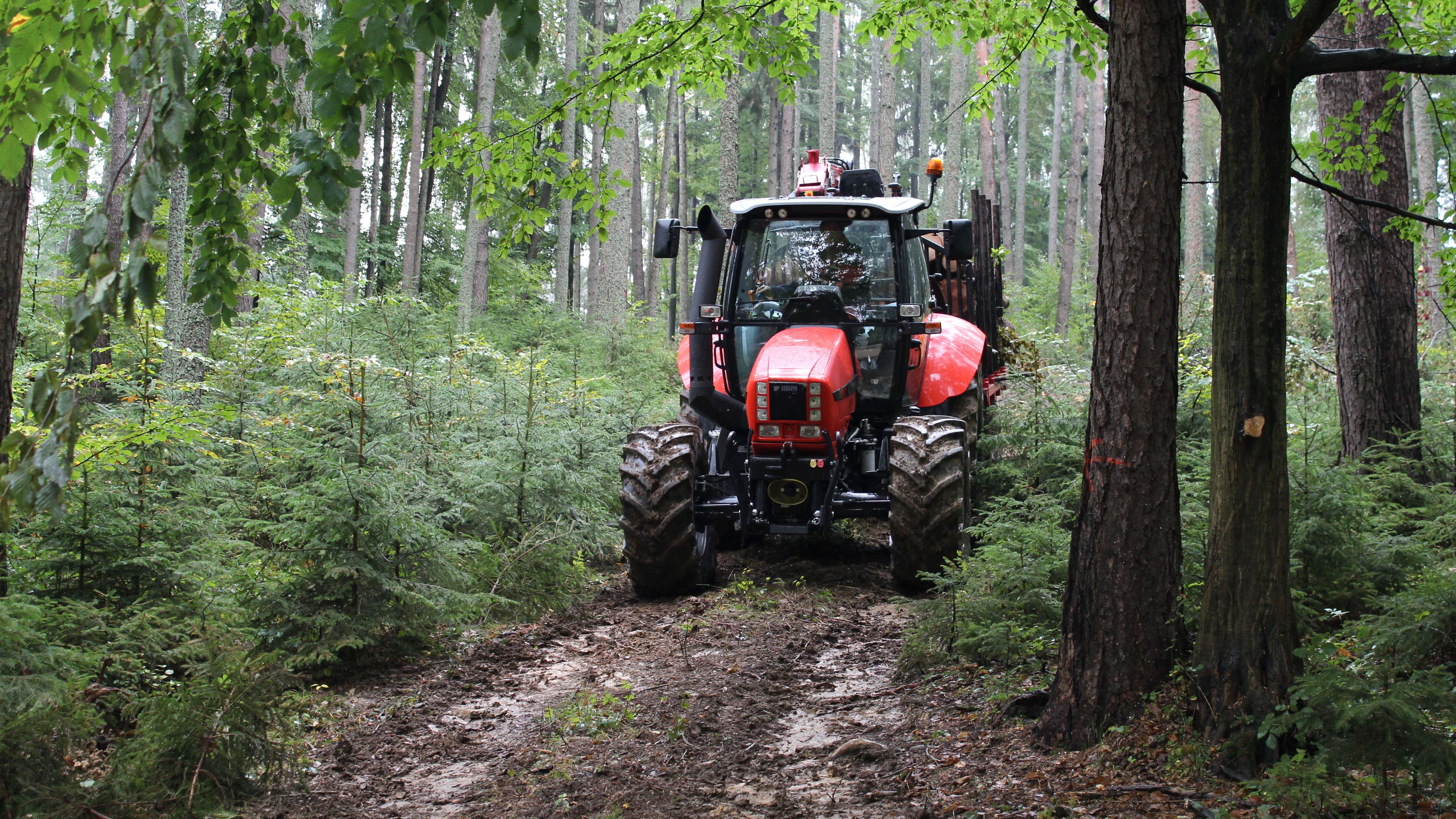 red forestry tractor in the rainy forestsee also