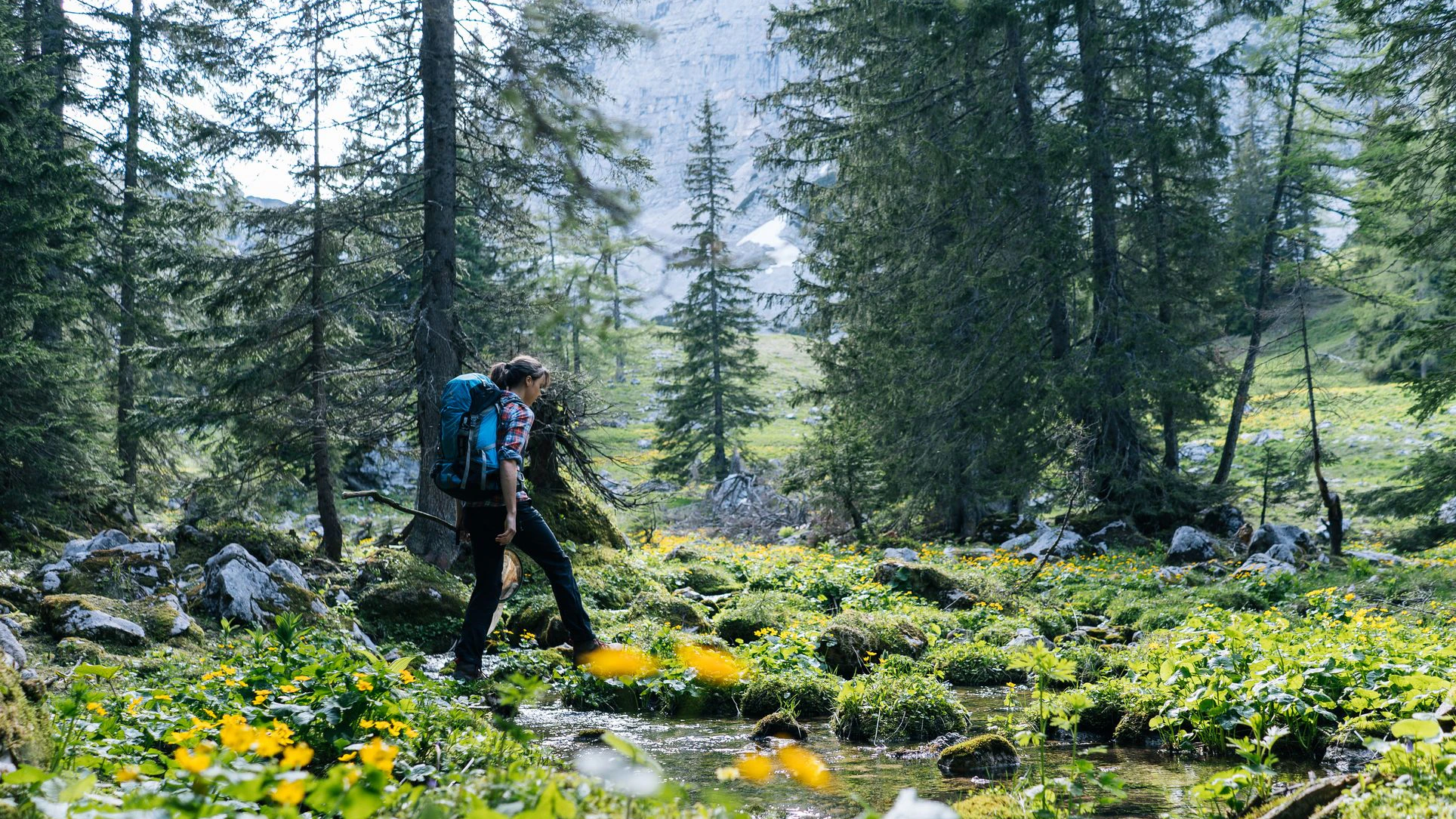 Heute.at - Trotz Teuerung – Österreicher unterstützen Umweltschutz