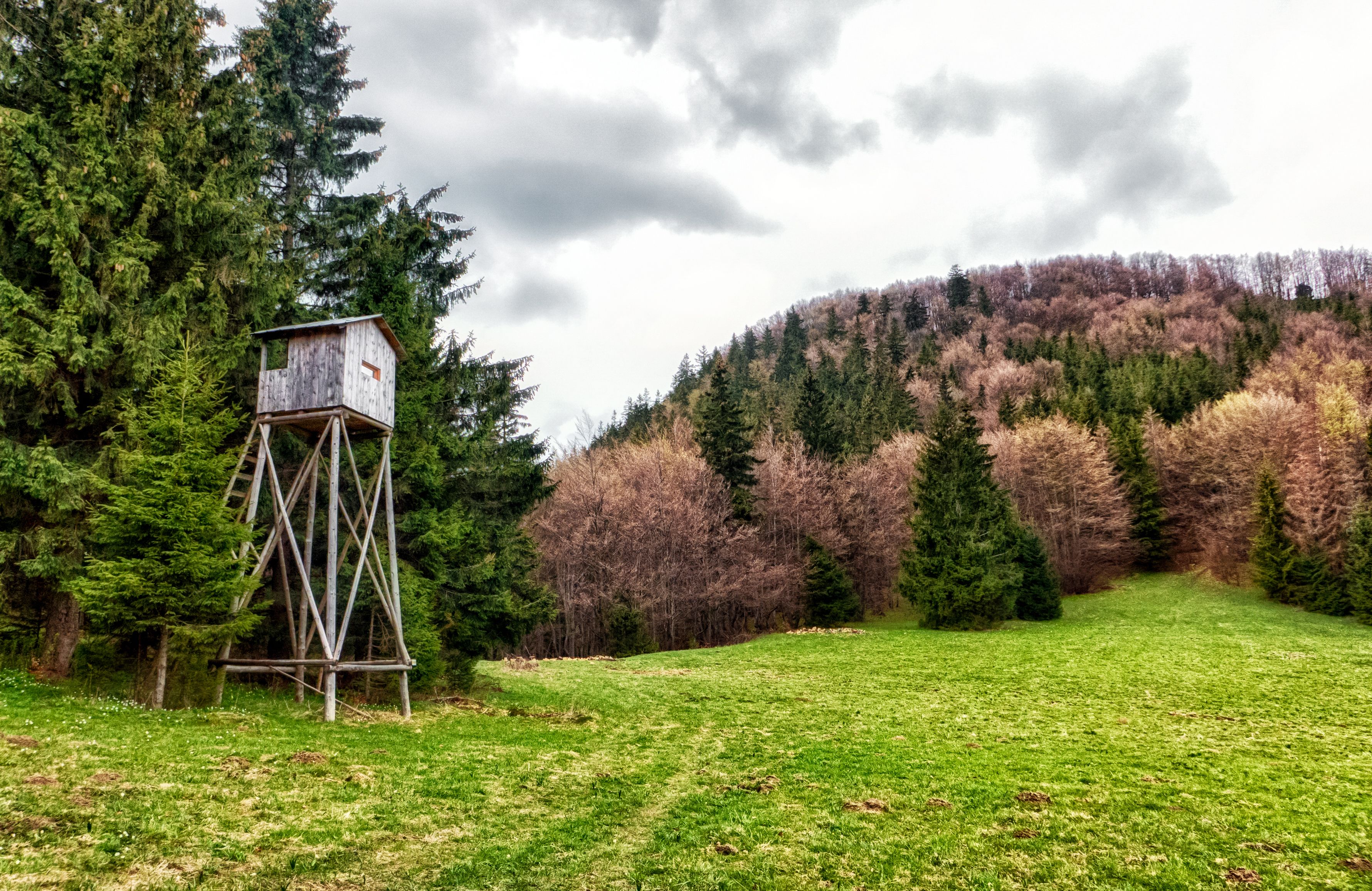 Weil ein Hochstand umgestürzt ist, wurde am Samstagnachmittag ein Jäger in Trauhütten (Bezirk Deutschlandsberg) verletzt.