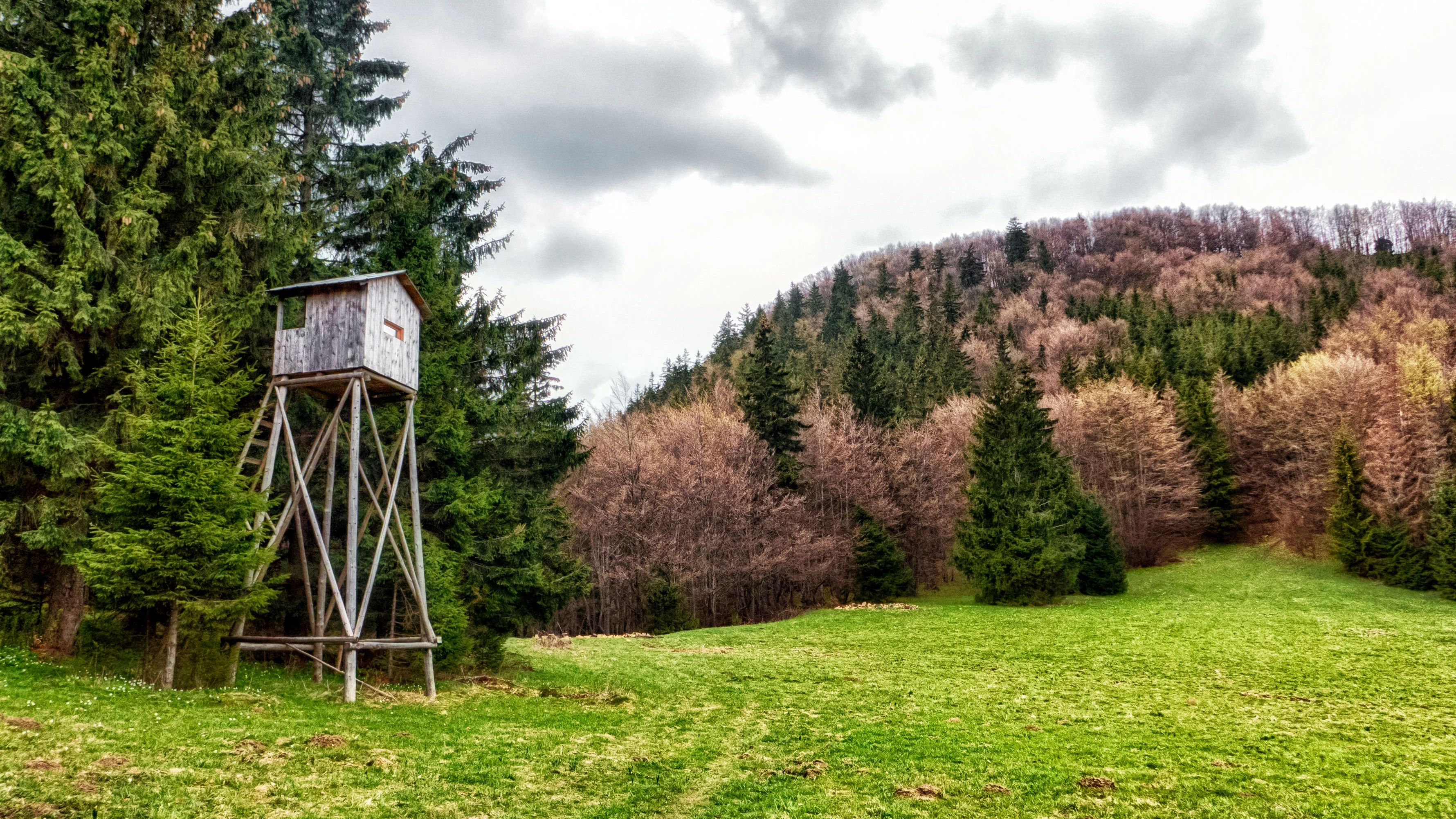 Weil ein Hochstand umgestürzt ist, wurden am Samstagnachmittag zwei Jäger in Trauhütten (Bezirk Deutschlandsberg) verletzt. 