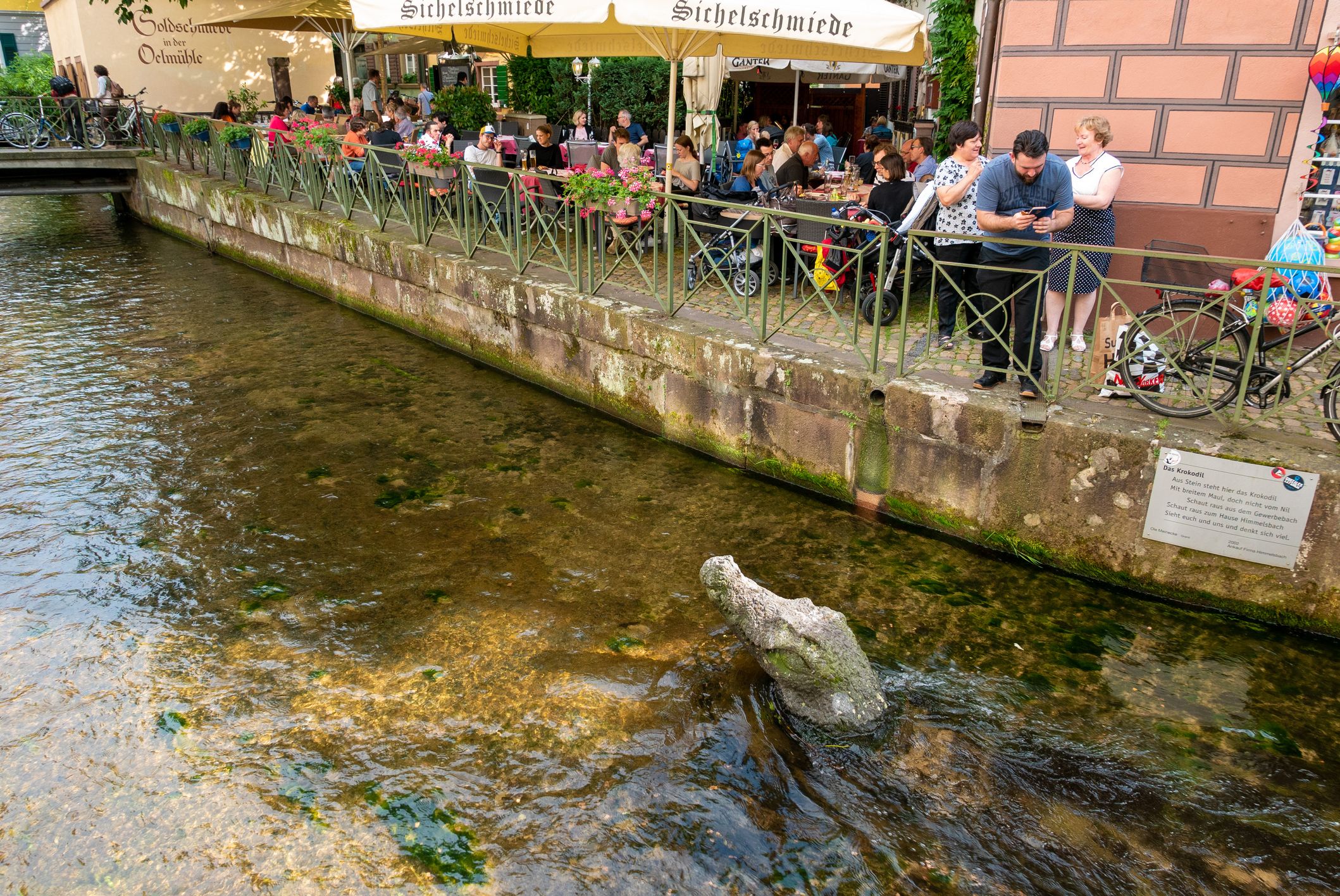 Krokodile befinden sich nicht immer dort, wo sie sollten. Symbolbild.