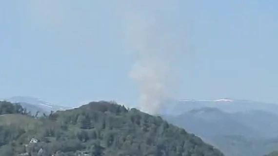 Heute.at - Waldbrand! Steirische Feuerwehr kämpft gegen Flammen